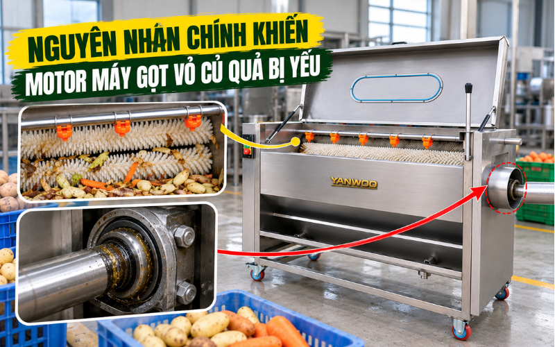 Nguyên nhân chính khiến motor máy gọt vỏ củ quả bị yếu