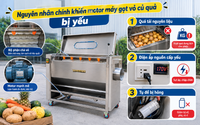 Nguyên nhân chính khiến motor máy gọt vỏ củ quả bị yếu