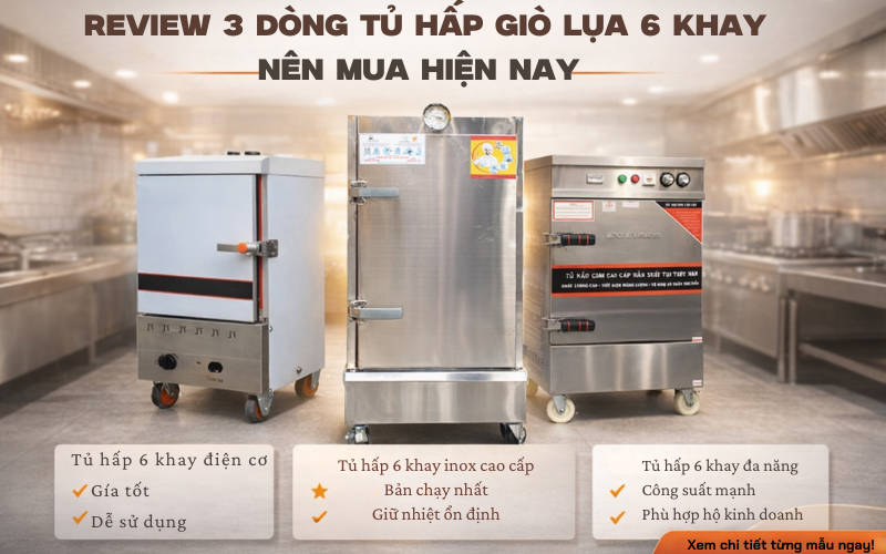 Review 3 Dòng Tủ Hấp Giò Lụa 6 Khay Nên Mua 