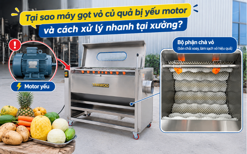 Tại sao máy gọt vỏ củ quả bị yếu motor và cách xử lý nhanh tại xưởng?