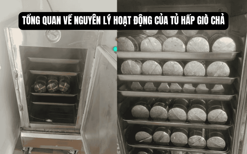 Tổng quan về nguyên lý hoạt động của tủ hấp giò chả