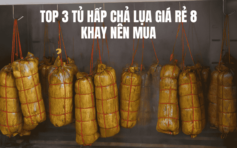 Top 3 Tủ Hấp Chả Lụa Giá Rẻ 8 Khay Nên Mua