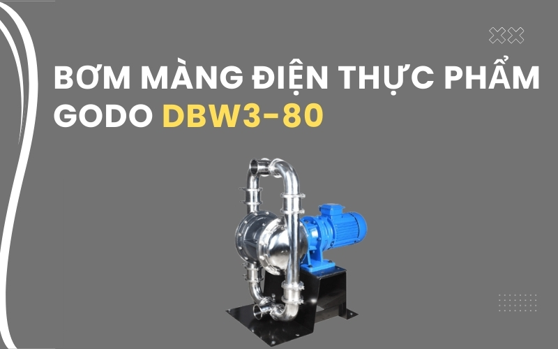 Bơm màng điện thực phẩm GODO DBW3S-80