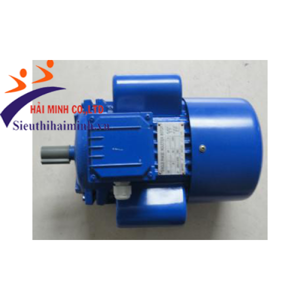 Photo - Động cơ điện dasu 1 pha YL100L1-4 (2.2 kw)
