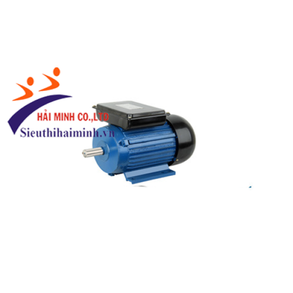 Photo - Động cơ điện dasu 1 pha YL8012 (0.55 kw)