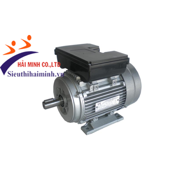 Photo - Động cơ điện dasu 1 pha YL90S-2 (1.5kw)
