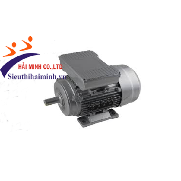 Photo - Động cơ điện dasu 1 pha YL8014 (0.55 kw)