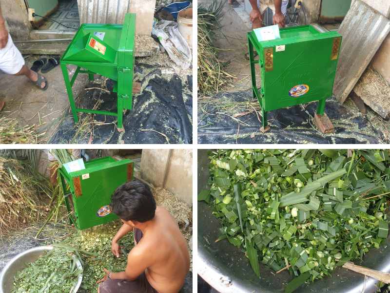 Máy băm cỏ voi (1,5KW)