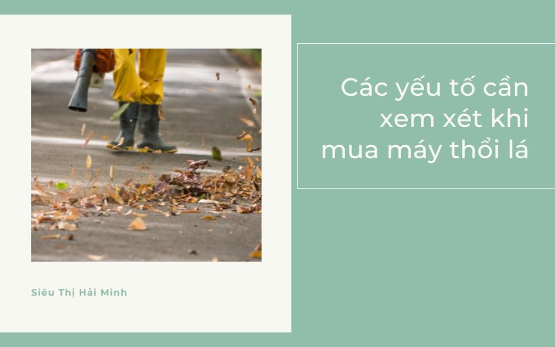 Các yếu tố cần xem xét khi chọn mua máy thổi lá