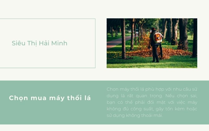 Chọn mua máy thổi lá