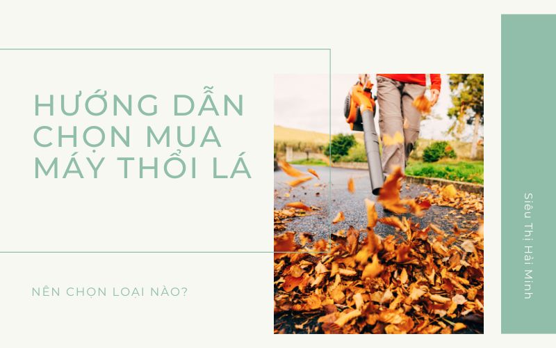 Hướng dẫn chọn mua máy thổi lá phù hợp