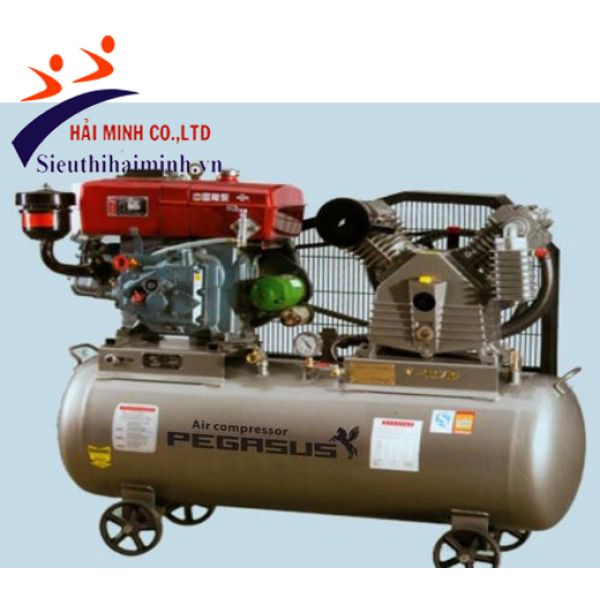 Photo - Máy nén khí chạy dầu diesel TM-W-2.0/8-500L