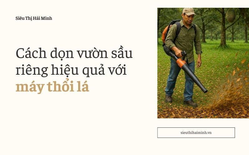 Cách dọn vườn sầu riêng hiệu quả với máy thổi lá