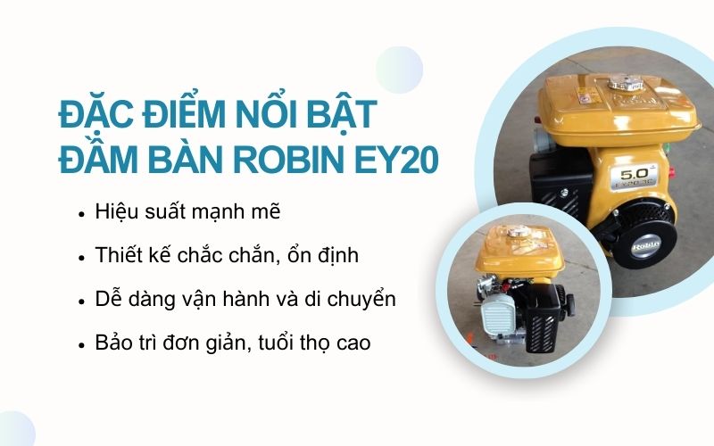 Đặc điểm nổi bật của đầm bàn Robin EY20