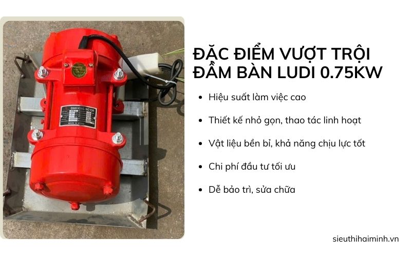 Đặc điểm vượt trội của đầm bàn Ludi 0.75kW