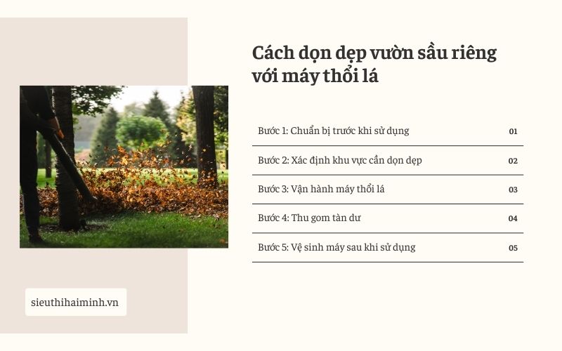 Hướng dẫn cách dọn dẹp vườn sầu riêng với máy thổi lá