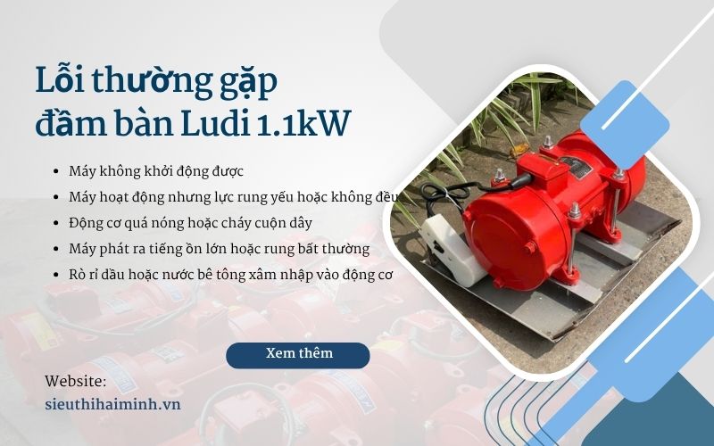 Các lỗi thường gặp về đầm bàn Ludi 1.1kW