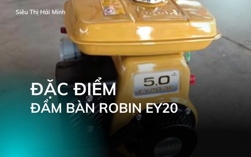 Đặc điểm và tính năng của đầm bàn Robin EY20