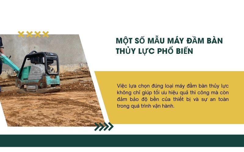 Một số mẫu máy đầm bàn thủy lực phổ biến