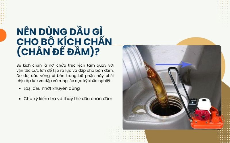 Nên dùng dầu gì cho bộ kích chấn (Chân đế đầm)?