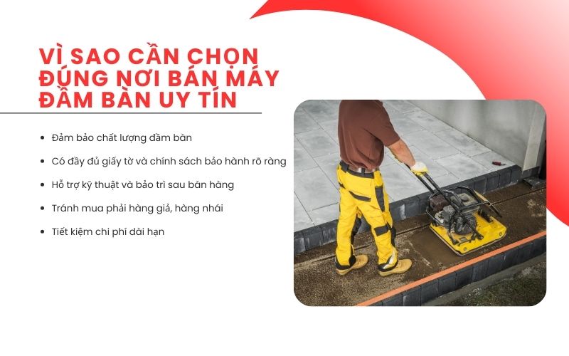 Vì sao cần chọn đúng nơi bán máy đầm bàn uy tín?