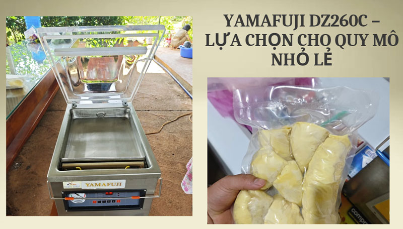 Yamafuji DZ260C – Lựa Chọn Cho Quy Mô Nhỏ Lẻ