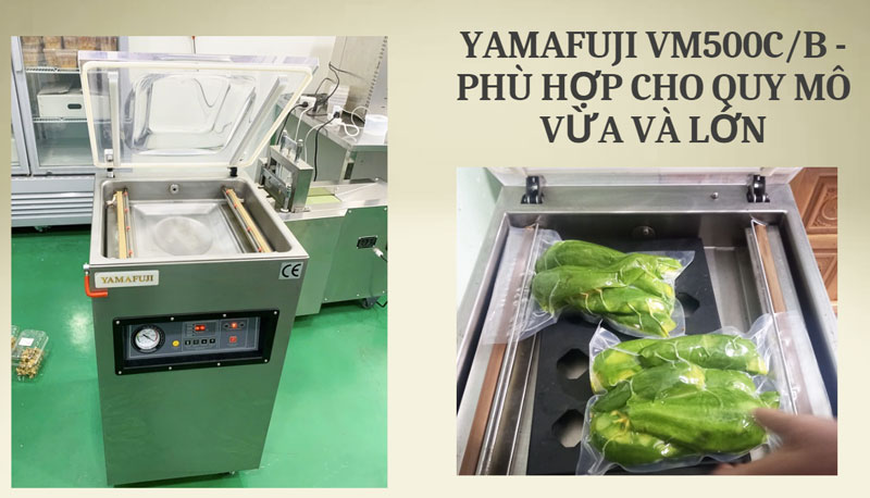 Yamafuji VM500C/B - Phù hợp cho quy mô vừa và lớn