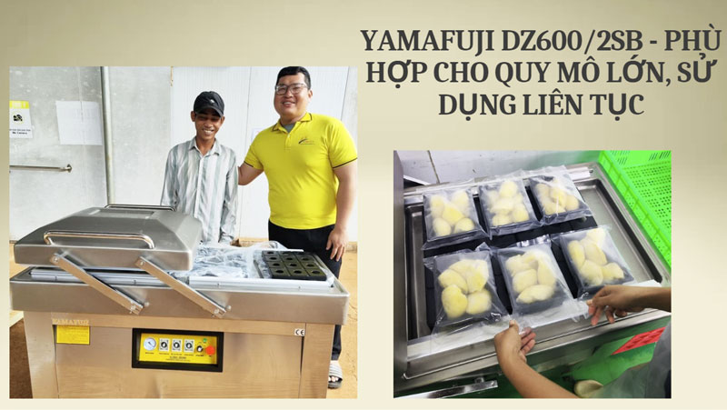 Yamafuji DZ600/2SB - Phù hợp cho quy mô lớn, sử dụng liên tục