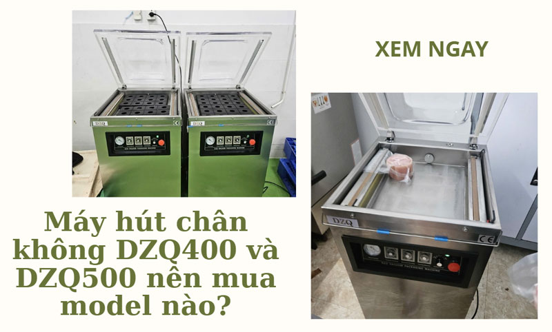 Máy hút chân không DZQ400 và DZQ500 nên mua model nào?