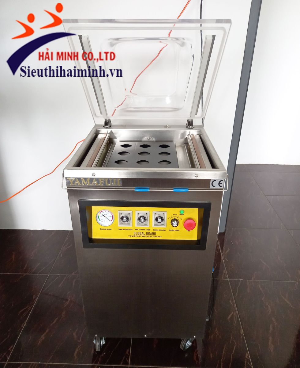 Máy đóng gói hút hút chân không DZ400/2E