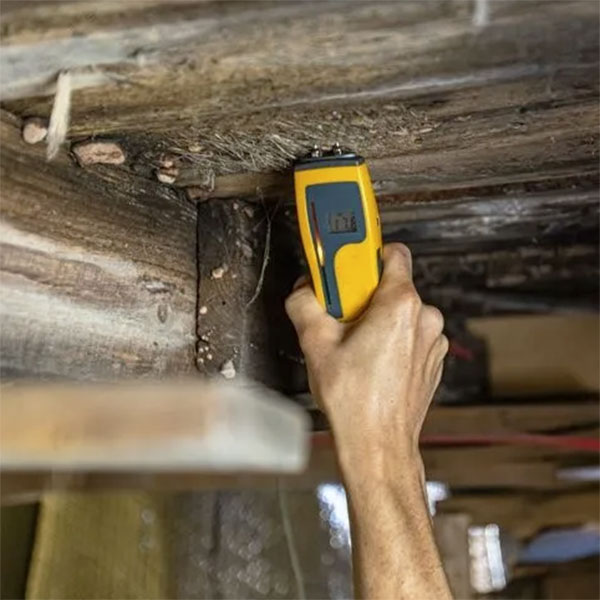 3 điều cần biết khi chọn mua máy đo độ ẩm gỗ