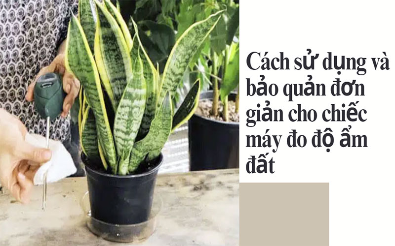Cách sử dụng và bảo quản đơn giản cho chiếc máy đo độ ẩm đất