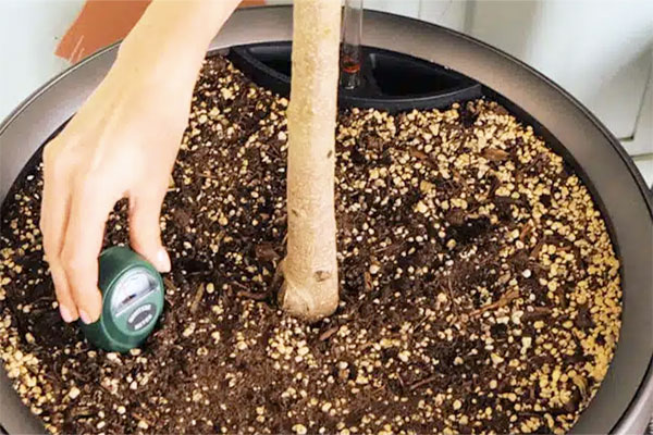 Cách sử dụng và bảo quản đơn giản cho chiếc máy đo độ ẩm đất