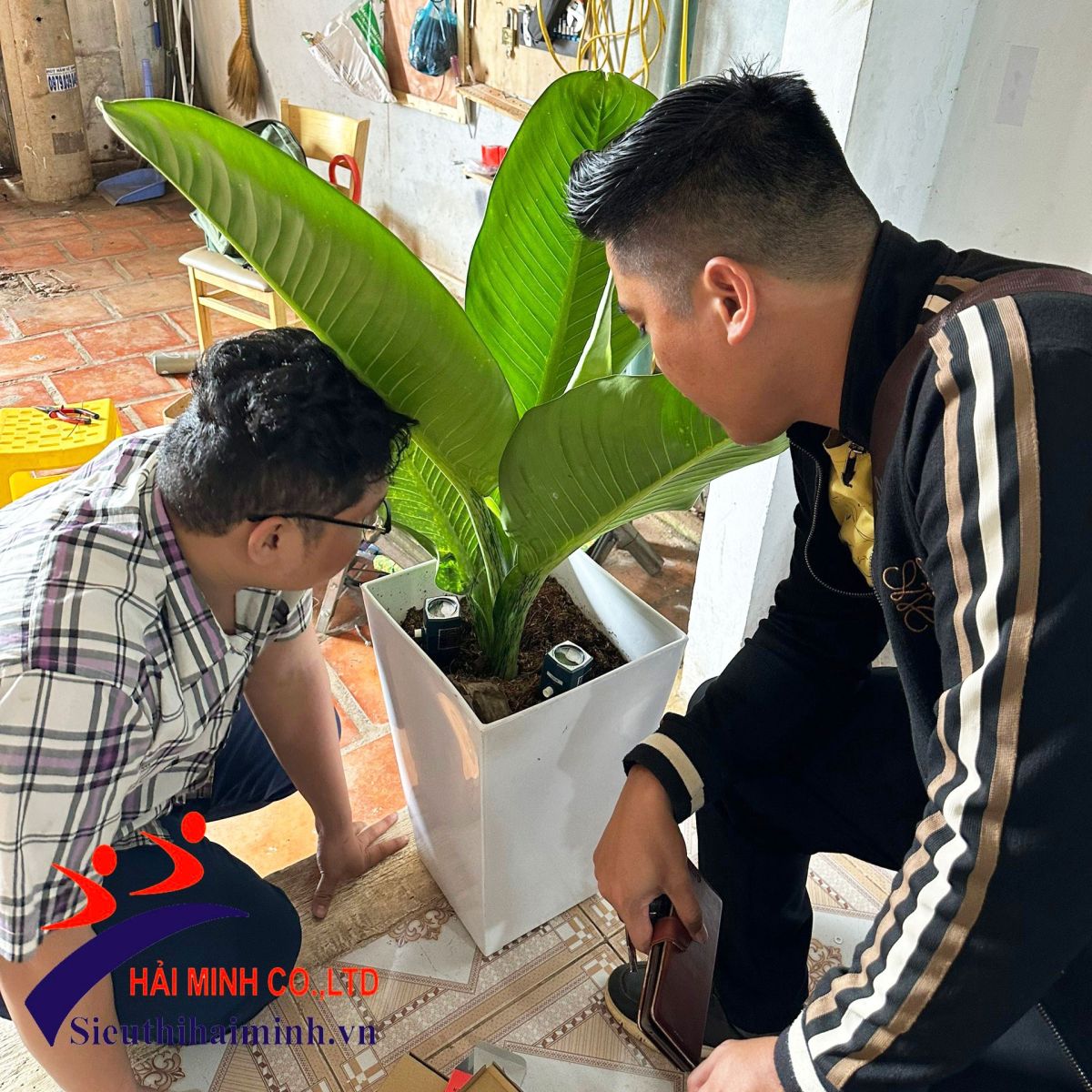 Hướng dẫn đọc thông số máy đo độ ẩm đất