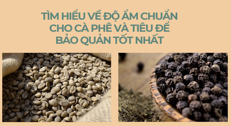Tìm hiểu về độ ẩm chuẩn cho cà phê và tiêu để bảo quản tốt nhất