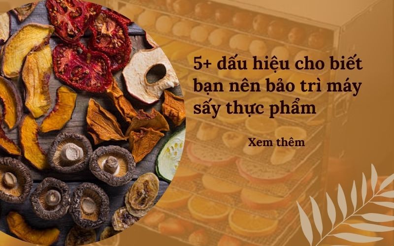 5+ dấu hiệu cho biết bạn nên bảo trì máy sấy thực phẩm