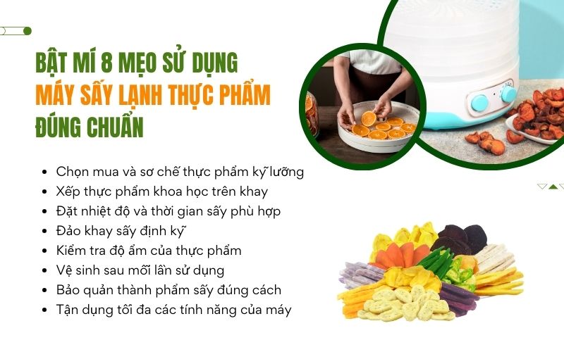 Bật mí 8 mẹo sử dụng máy sấy lạnh thực phẩm đúng chuẩn