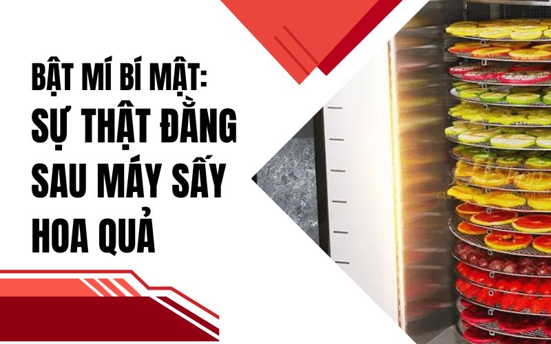 Bật mí bí mật: sự thật đằng sau máy sấy hoa quả