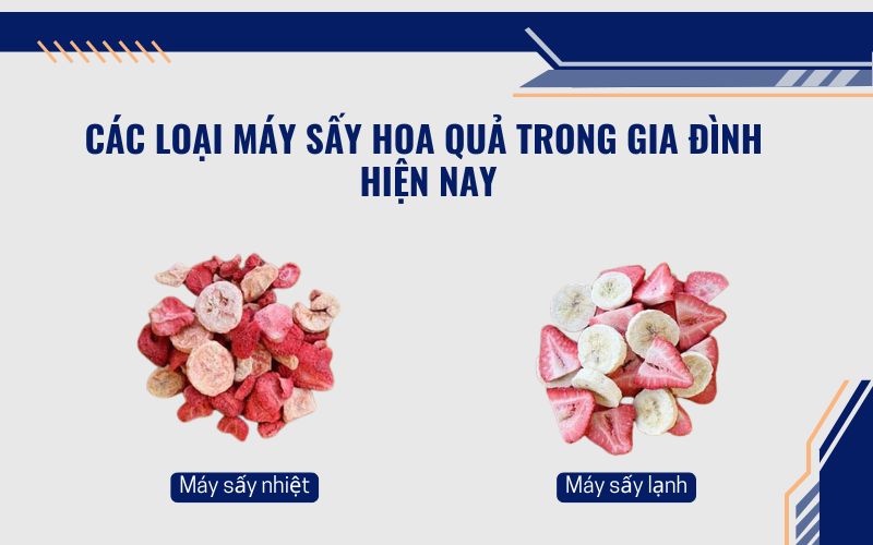 Các loại máy sấy hoa quả trong gia đình hiện nay