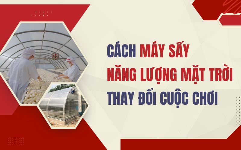 Cách máy sấy năng lượng mặt trời thay đổi cuộc chơi