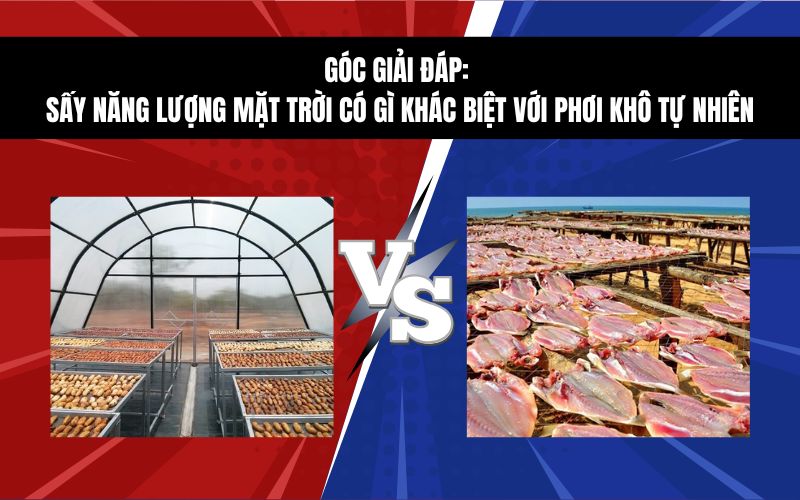 Góc giải đáp: Sấy năng lượng mặt trời có gì khác biệt với phơi khô tự nhiên