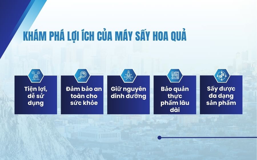 Khám phá lợi ích của máy sấy hoa quả
