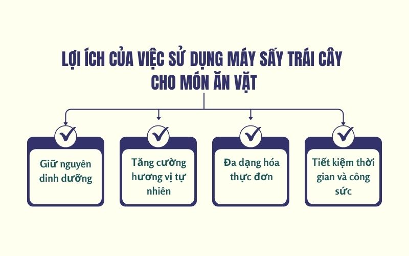 Lợi ích của việc sử dụng máy sấy trái cây cho món ăn vặt