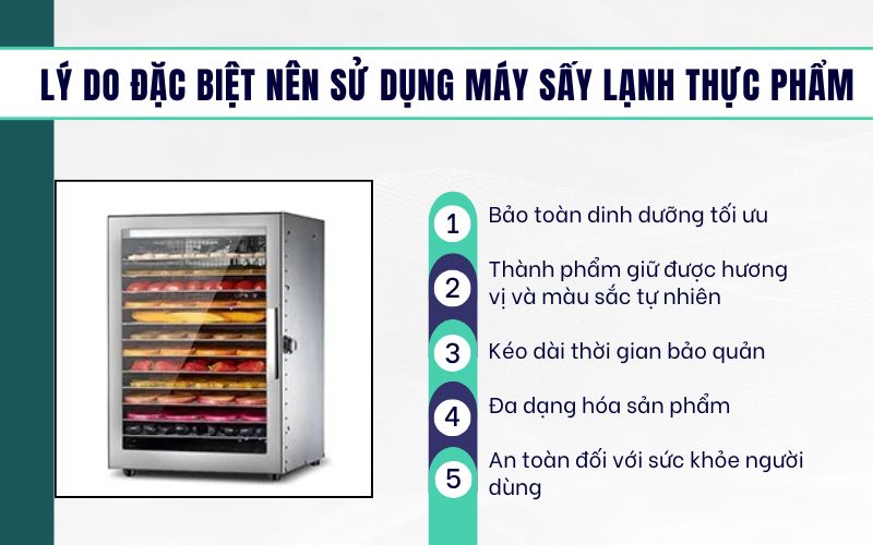 Nguyên lý vận hành của máy sấy lạnh thực phẩm