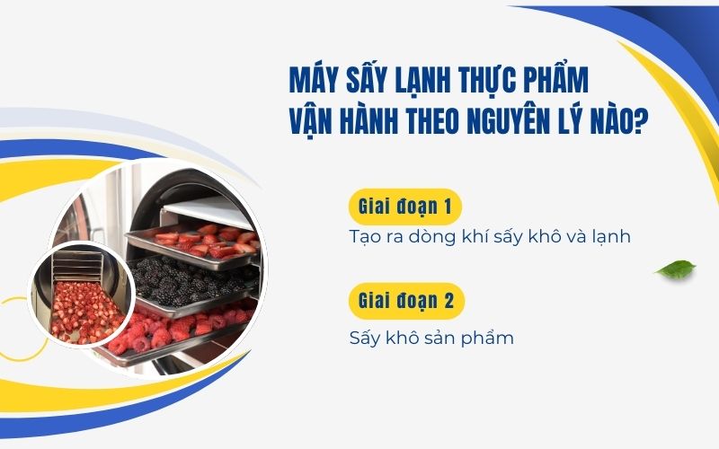 Máy sấy lạnh thực phẩm vận hành theo nguyên lý nào?