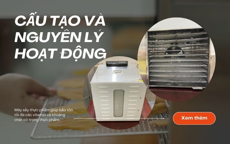 Cấu tạo và nguyên lý hoạt động của máy Septree HM10 