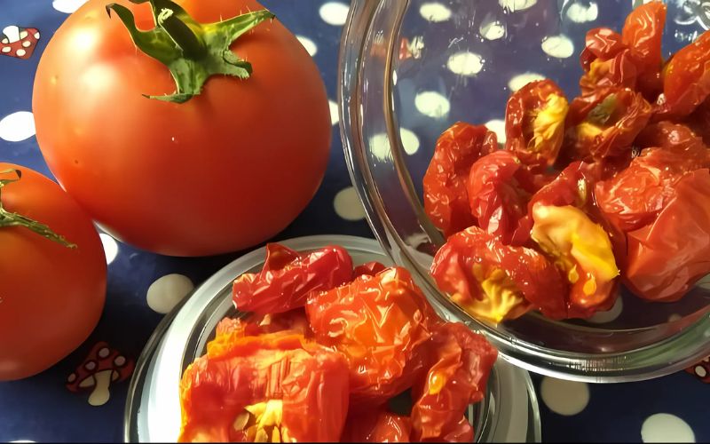 Đặc điểm nổi bật của máy sấy công nghiệp GD 18K6