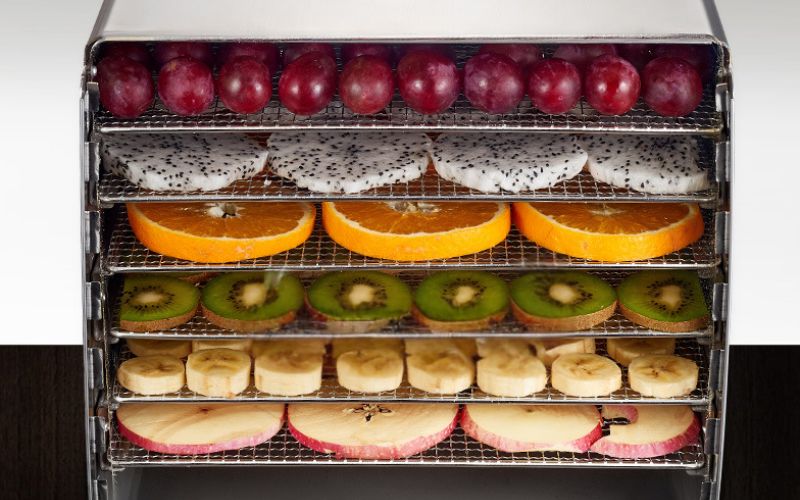 Đặc điểm nổi bật của máy sấy trái cây GD 9K5