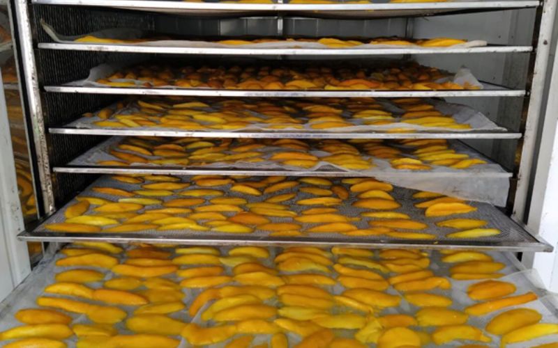 Thông số kỹ thuật của máy sấy thực phẩm inox AD4