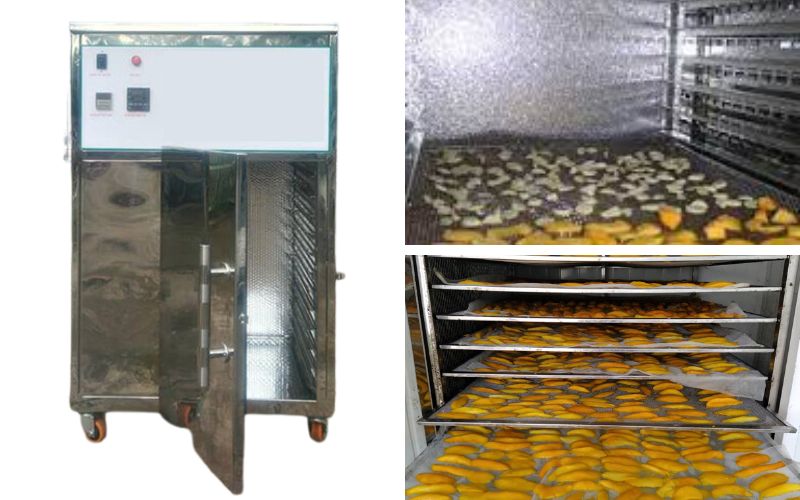 Tính năng vượt trội của máy sấy trái cây inox AD4